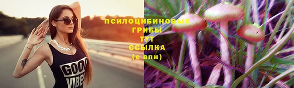 ALPHA PVP Верхнеуральск