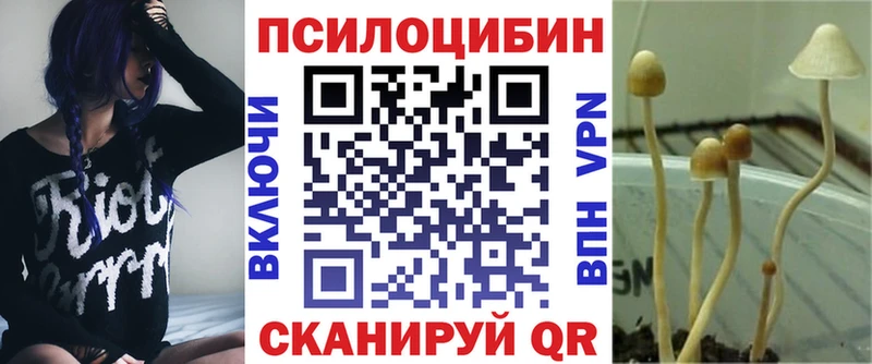 Купить закладки  Верхняя Тура  Галлюциногенные грибы Psilocybe 